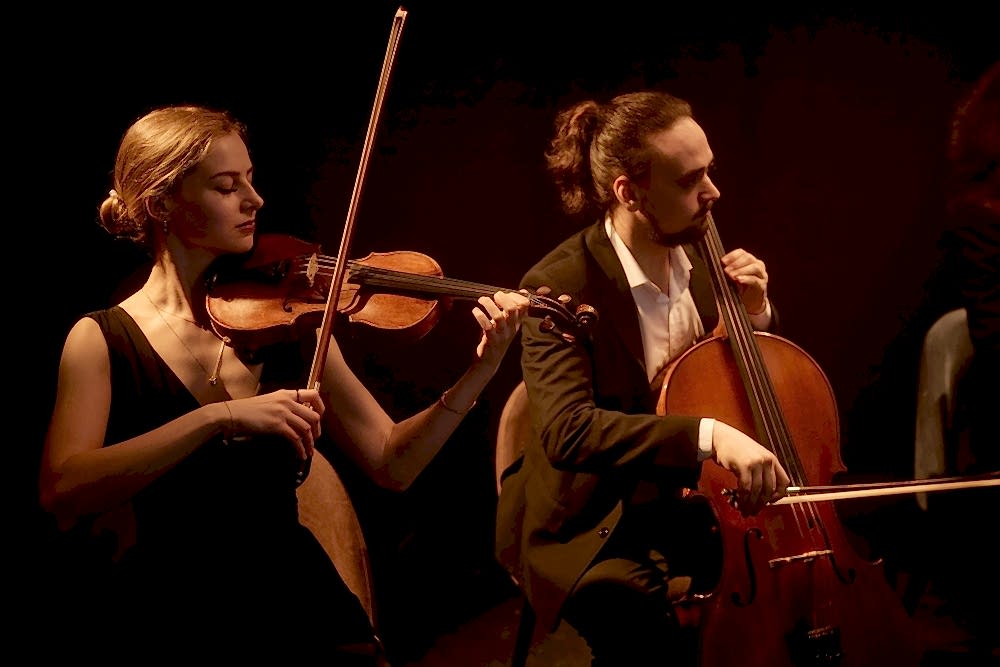 Cello Kurslari 2