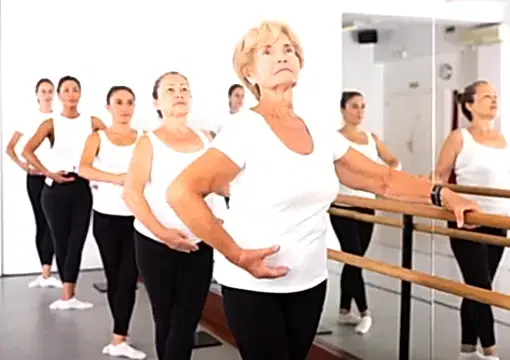 meb onaylı bale kursu